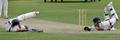 Run out chance.jpg